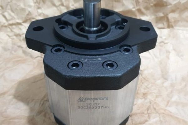 Caproni齿轮泵有哪些常见类型？如何选择适合的Caproni齿轮泵